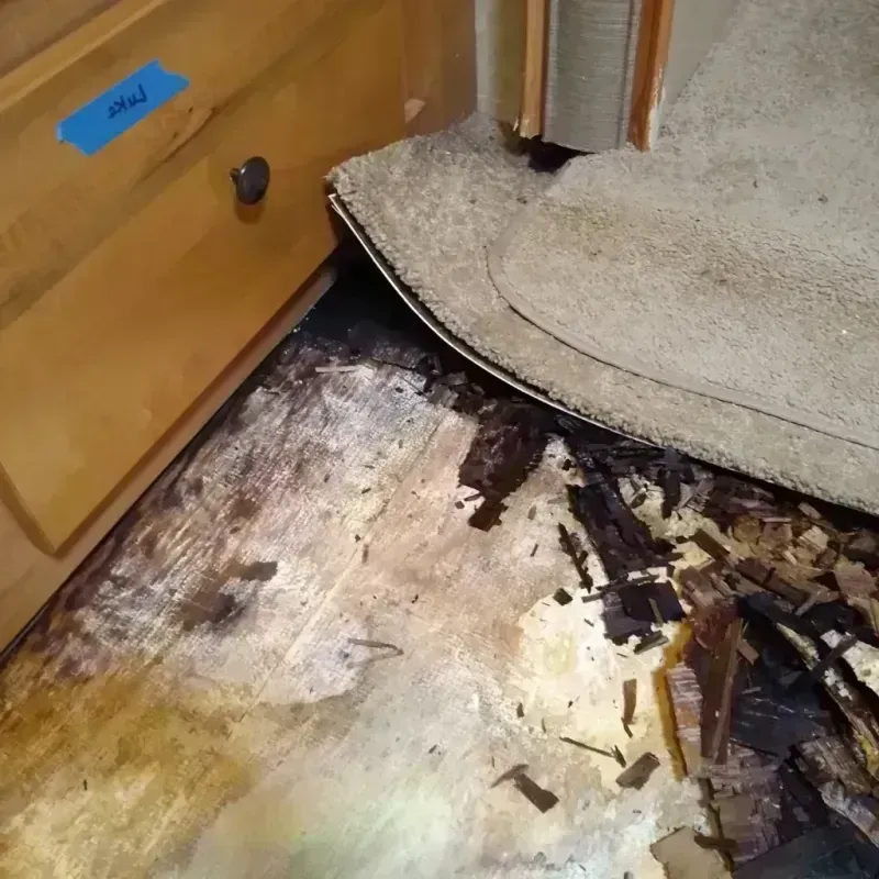 Best Wood Floor Water Damage Service in Donovan Estates, AZ